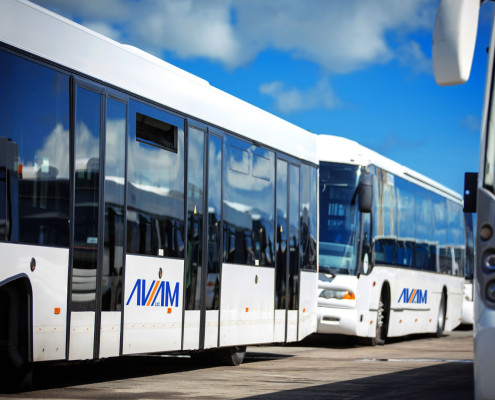 Aviam Ltd Passenger Transportation