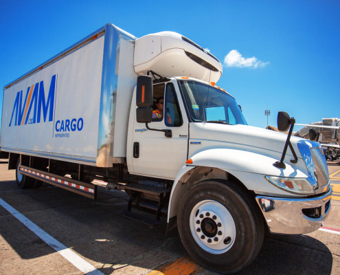 Cargo Transportation Punta Cana Airport